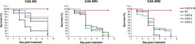 In vitro and in vivo evaluation of antifungal combinations against azole-resistant Aspergillus fumigatus isolates